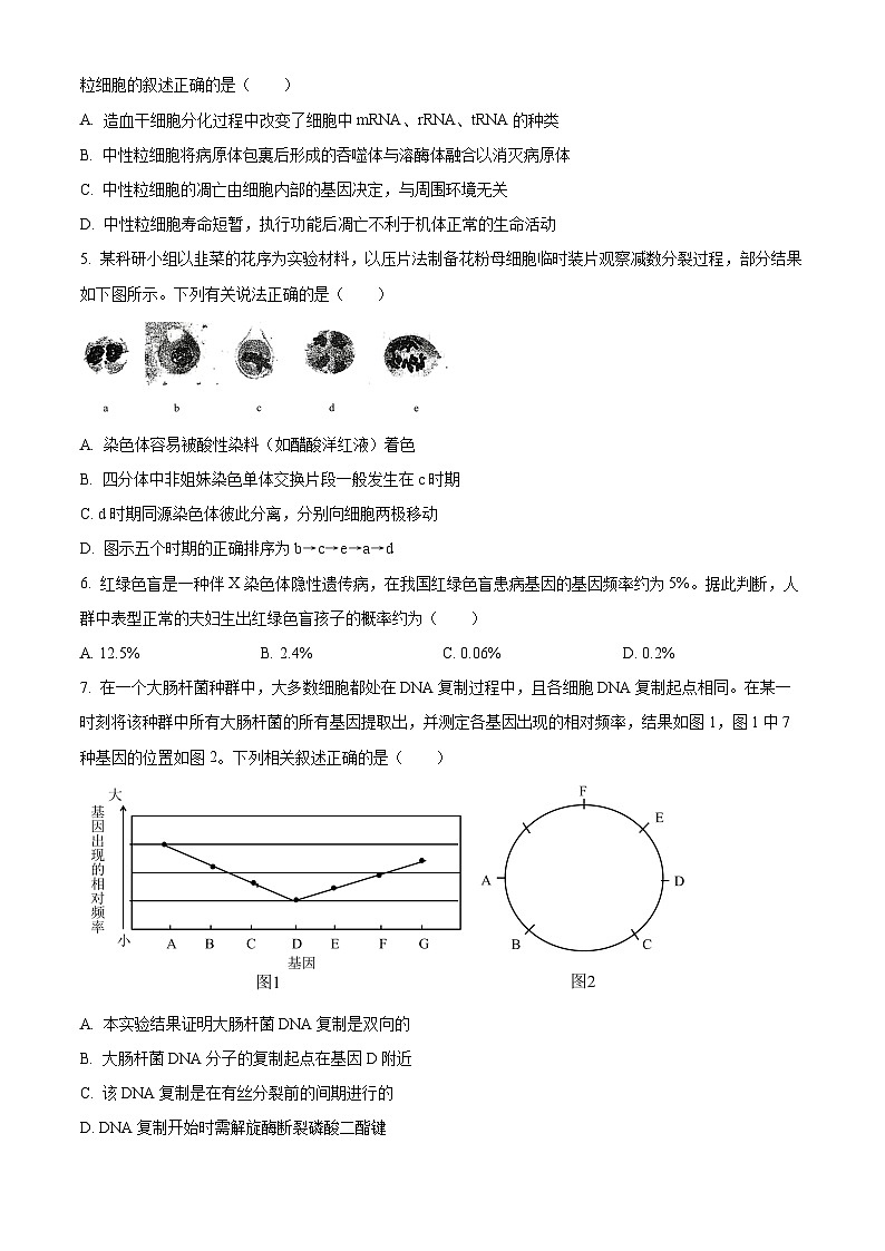 山西临汾市2025-2026学年度高三年级第一学期期末考试生物试卷（试卷+解析）第2页
