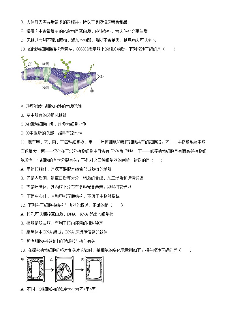 陕西商洛市2025-2026学年度第一学期期末考试高一生物学试卷（试卷+解析）第3页