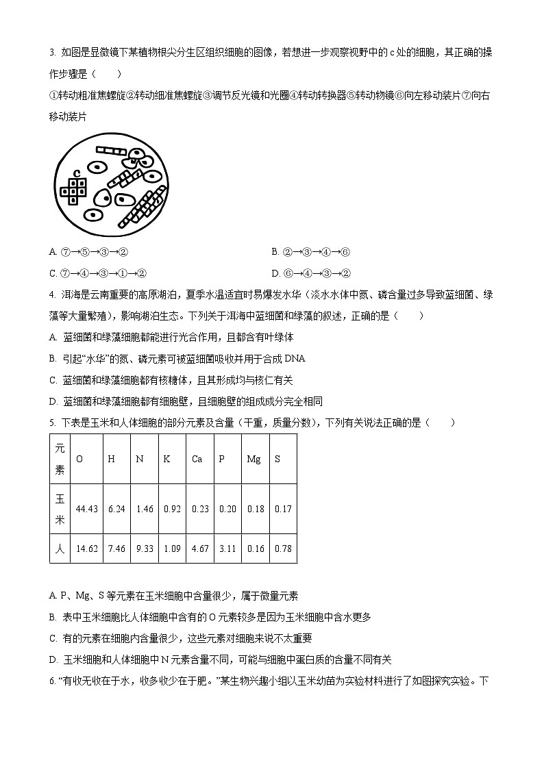 云南大理市2025-2026学年上学期高一年级教学质量监测考试生物学试卷（试卷+解析）期末第2页