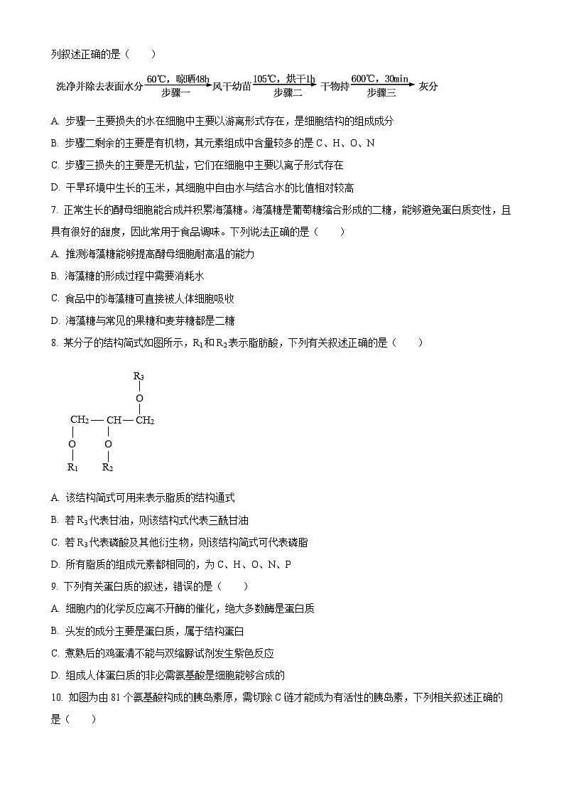 云南大理市2025-2026学年上学期高一年级教学质量监测考试生物学试卷（试卷+解析）期末第3页