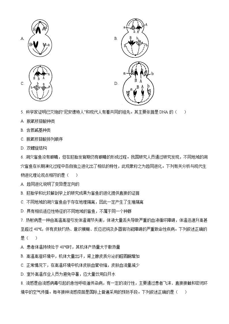云南德宏傣族景颇族自治州2025-2026学年高三上学期期末生物学试卷（试卷+解析）第2页