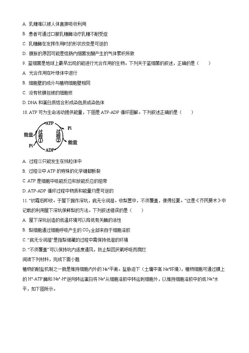 浙江台州市2025-2026学年高一上学期期末考试生物试题（试卷+解析）第2页
