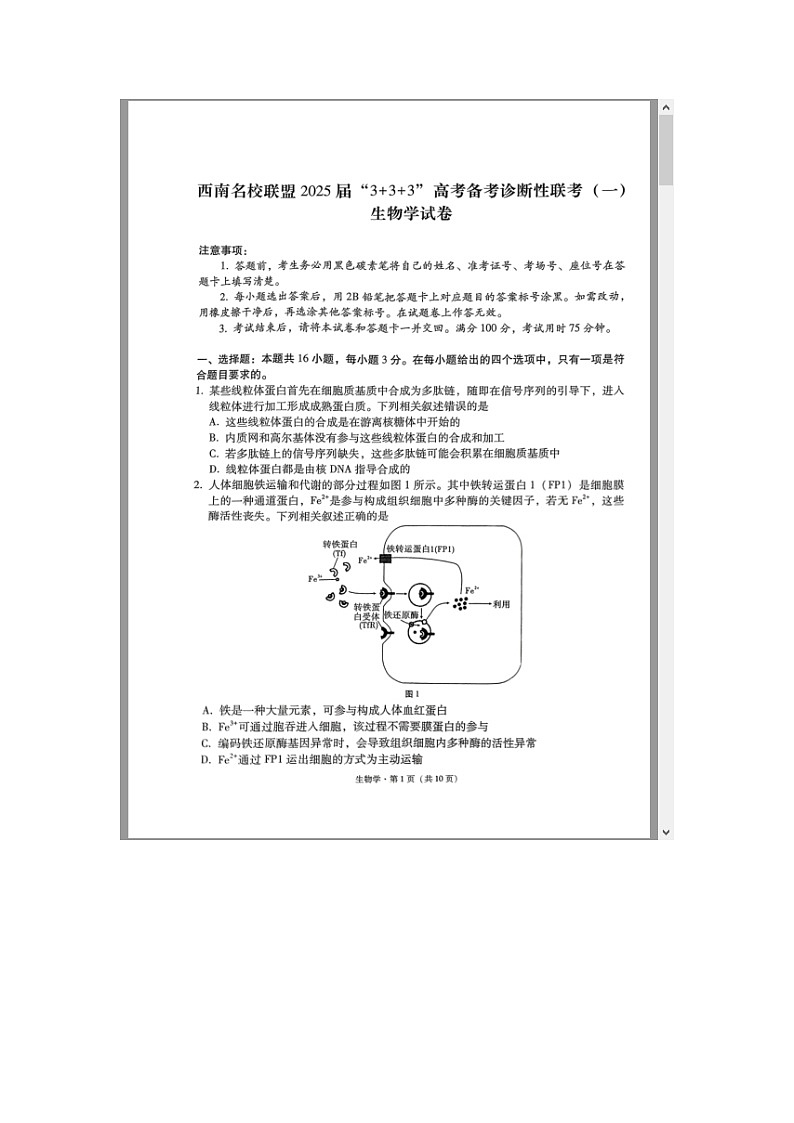 西南名校联盟2025届高三上学期“3+3+3”高考备考诊断性联考（一）生物试题 含答案第1页