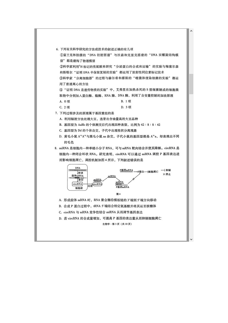 西南名校联盟2025届高三上学期“3+3+3”高考备考诊断性联考（一）生物试题 含答案第3页