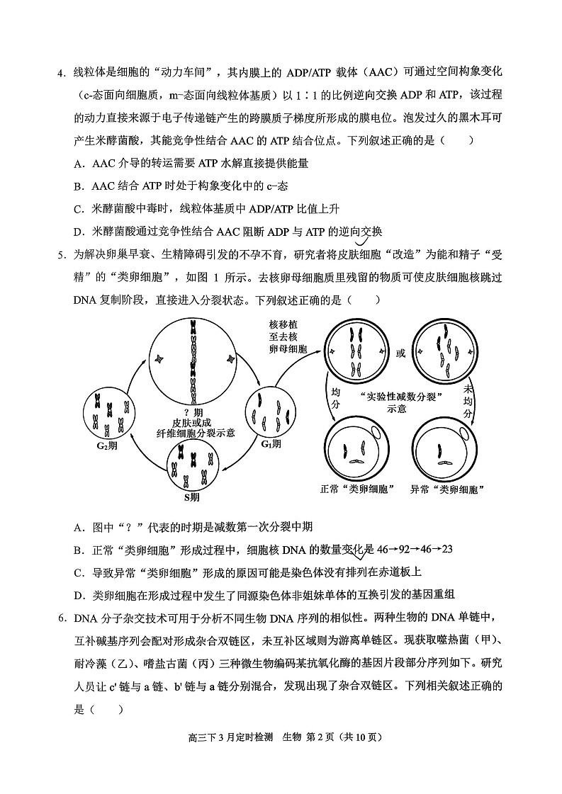 重庆西南大学附属中学校2026届高三下学期3月月考生物试题第2页