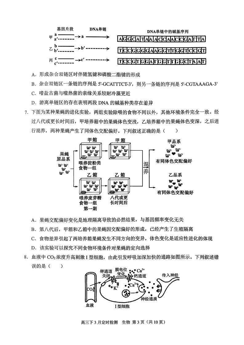 重庆西南大学附属中学校2026届高三下学期3月月考生物试题第3页