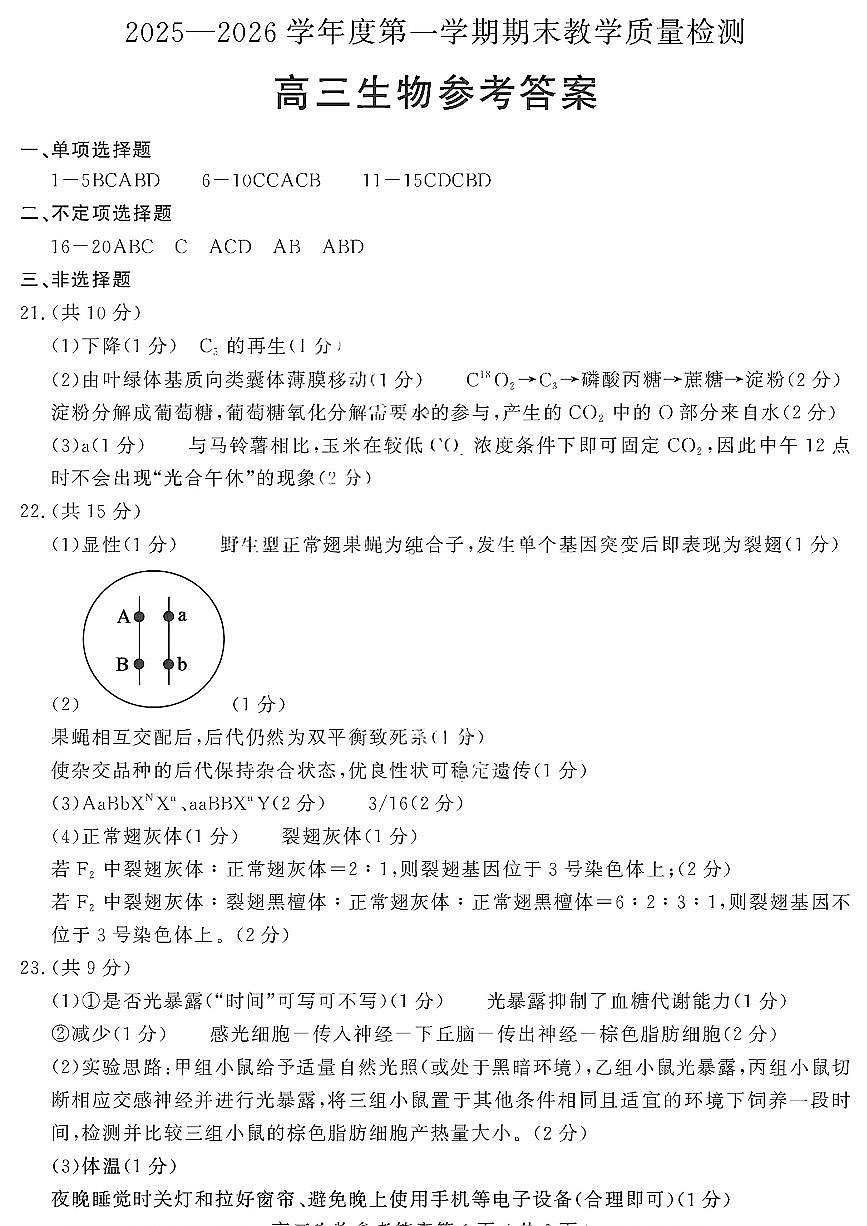 鐢熺墿绛旀第1页