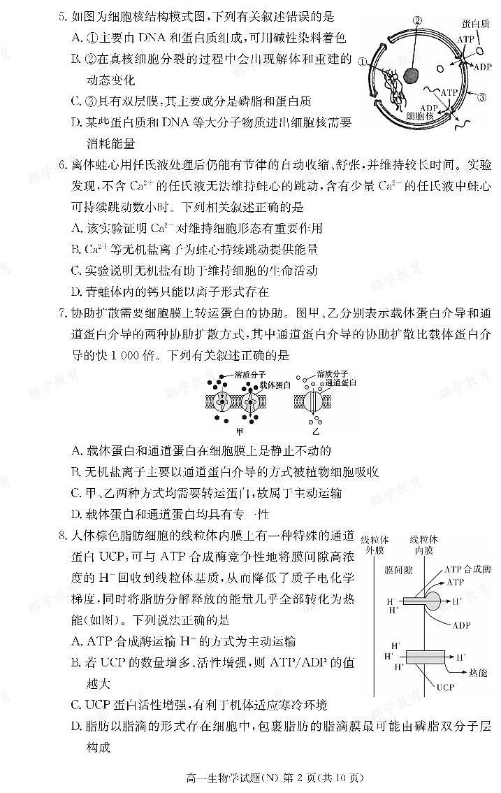 生物试卷（高一期末N）第2页