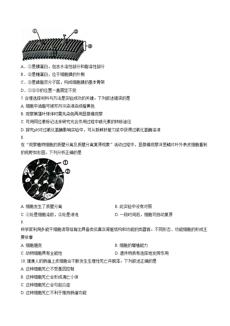 浙江绍兴市2025_2026学年第一学期期末调测高一生物试题（文字版，含答案）第2页