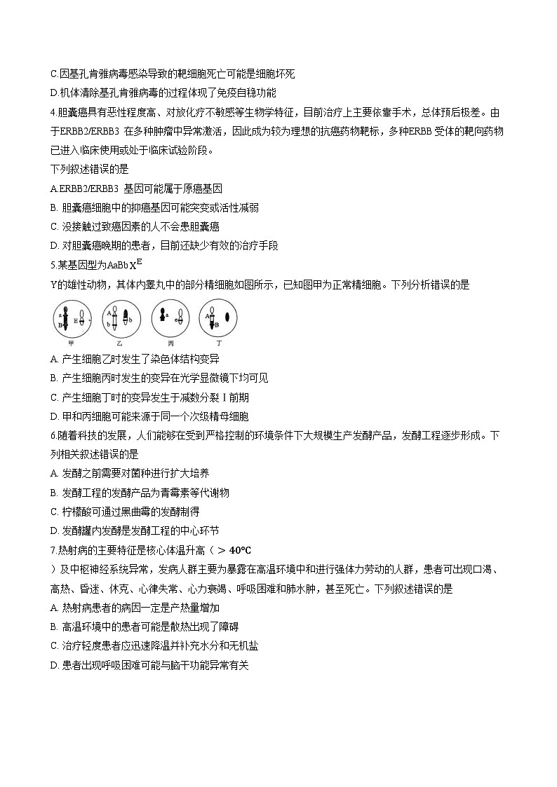 2026年云南多校高三上学期普通高中学业水平选择性考试生物模拟试题（文字版，含答案）第2页