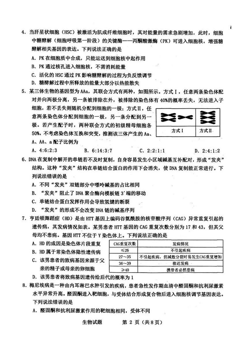 2026届山东省烟台市下学期高三一模诊断性测试 生物试题及答案第2页