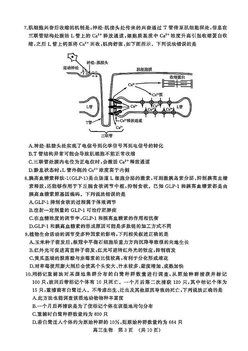 山东省2025-2026学年下学期高三开学考生物试卷无答案-第3页