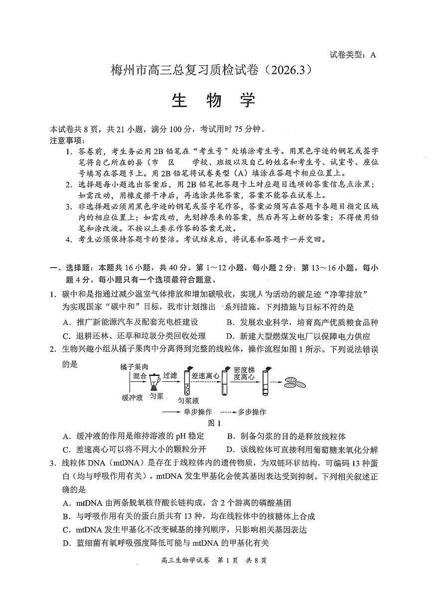 广东省梅州市2026届下学期高三一模总复习质检 生物试题+答案第1页