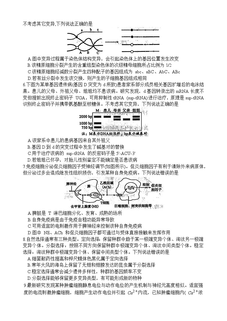 2026届山东省东营市下学期高三一模诊断性测试 生物试题及答案第2页