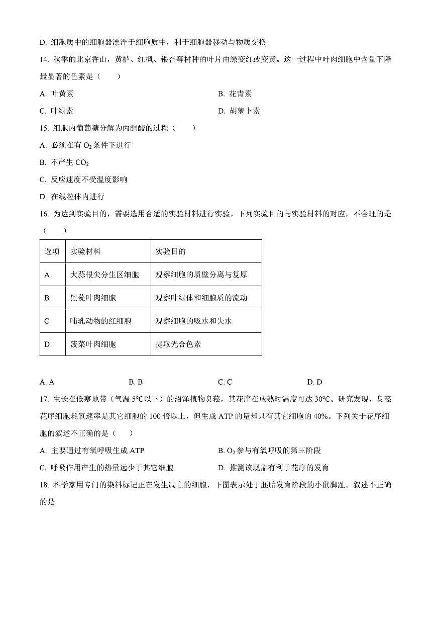 北京市通州区2026年高一上学期期末生物学试题（试卷+解析）第3页