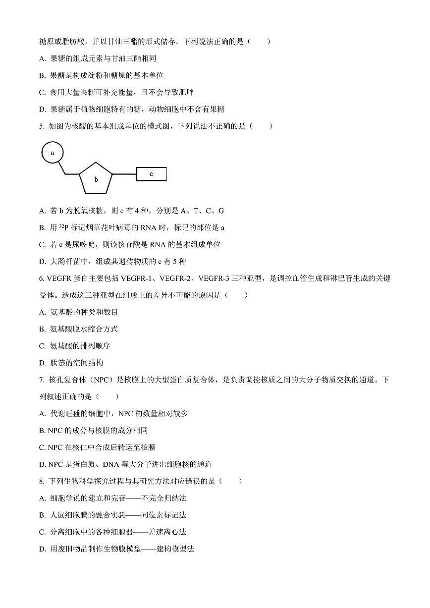 广东省汕尾市2025-2026学年度第一学期期末教学质量监测高一生物试卷（试卷+解析）第2页