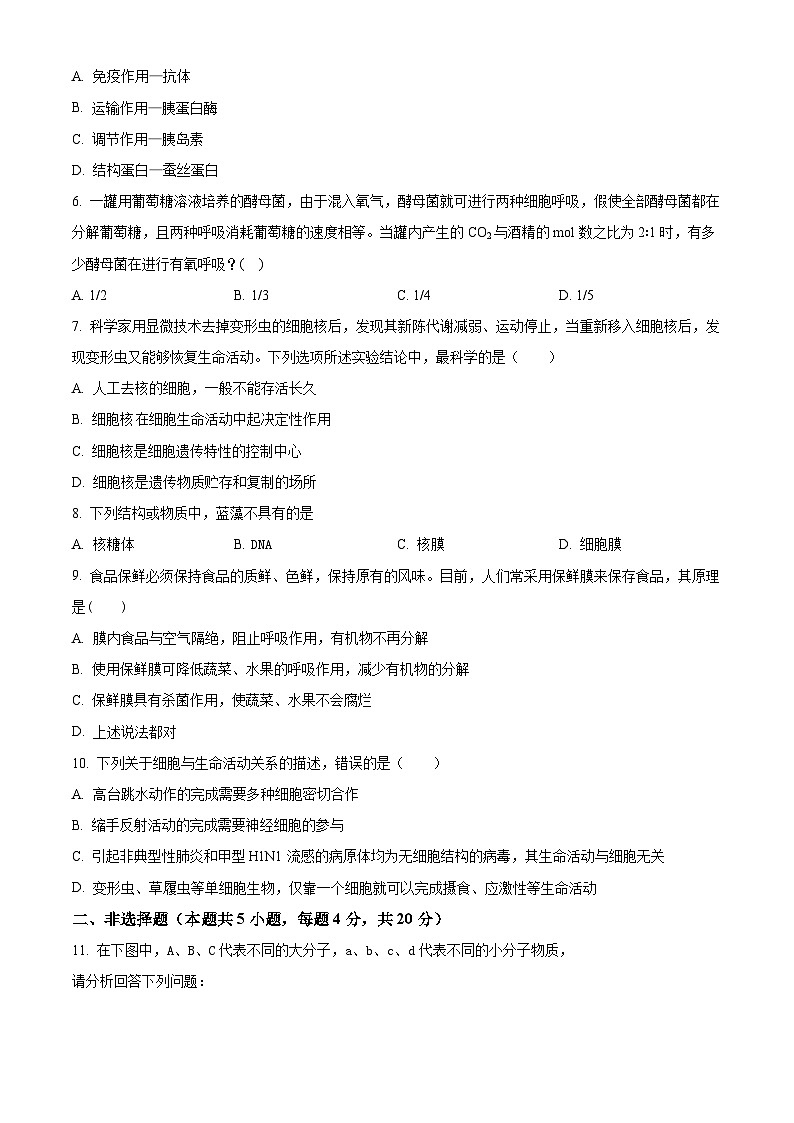 广西北海市普通高中2024-2025学年高一上学期期末生物试卷（试卷+解析）第2页