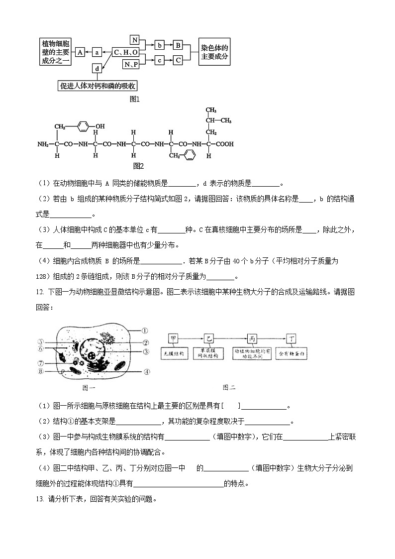 广西北海市普通高中2024-2025学年高一上学期期末生物试卷（试卷+解析）第3页