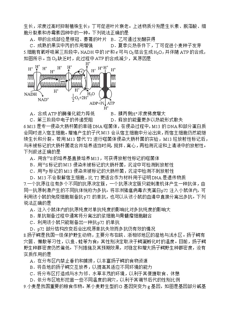 生物试题第2页