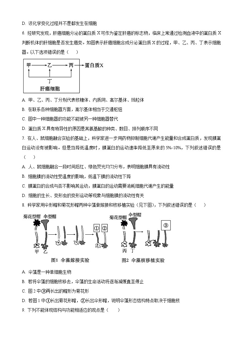 湖南长沙市长沙县部分高中2025-2026学年高一上学期期末检测生物试题（试卷+解析）第2页