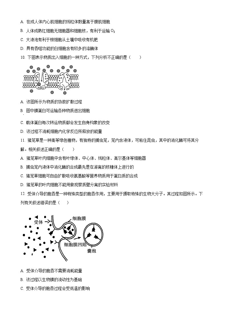 湖南长沙市长沙县部分高中2025-2026学年高一上学期期末检测生物试题（试卷+解析）第3页