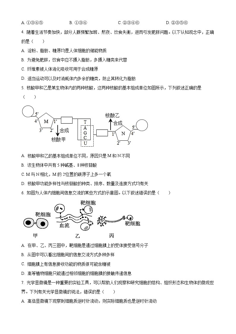 陕西渭南市华阴市2025~2026学年度第一学期期末教学质量检测高一生物学试题（试卷+解析）第2页