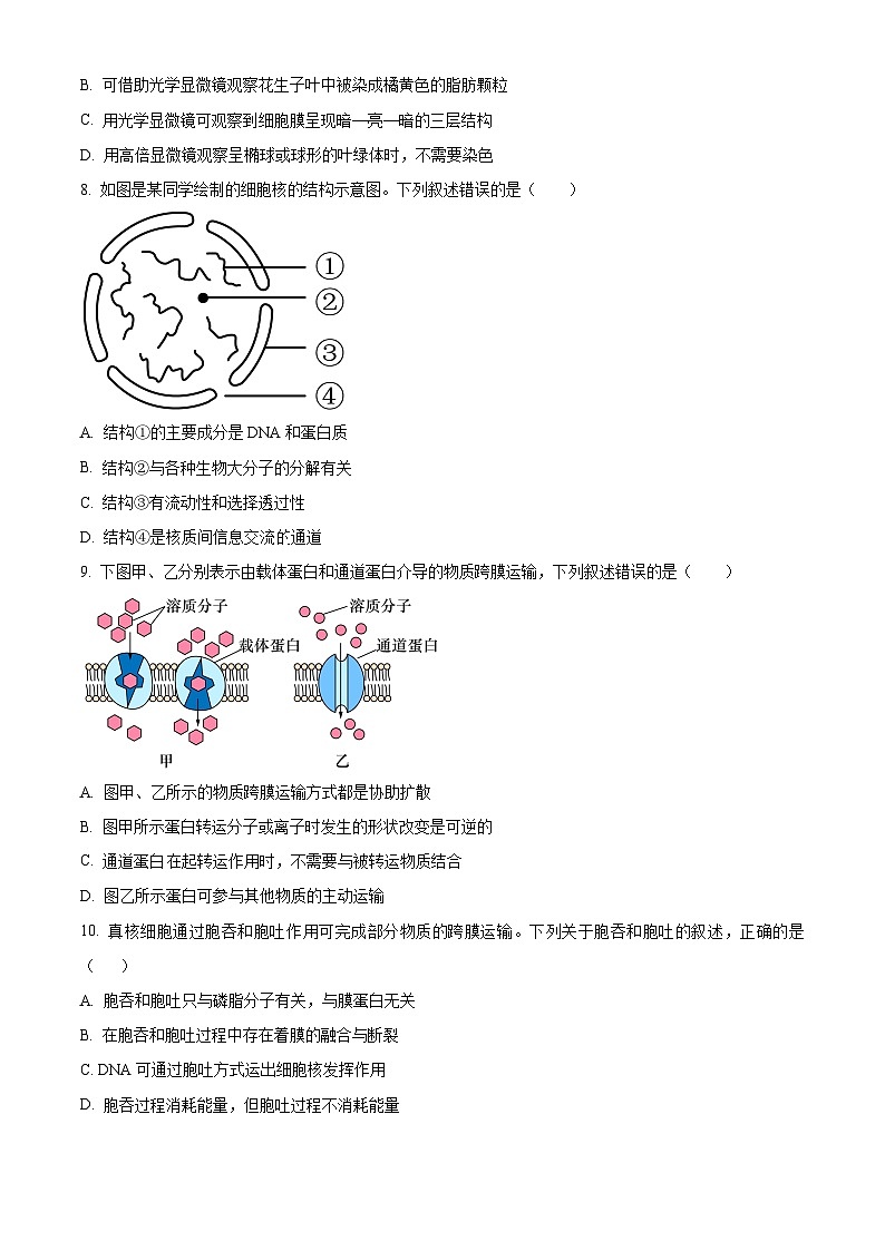 陕西渭南市华阴市2025~2026学年度第一学期期末教学质量检测高一生物学试题（试卷+解析）第3页