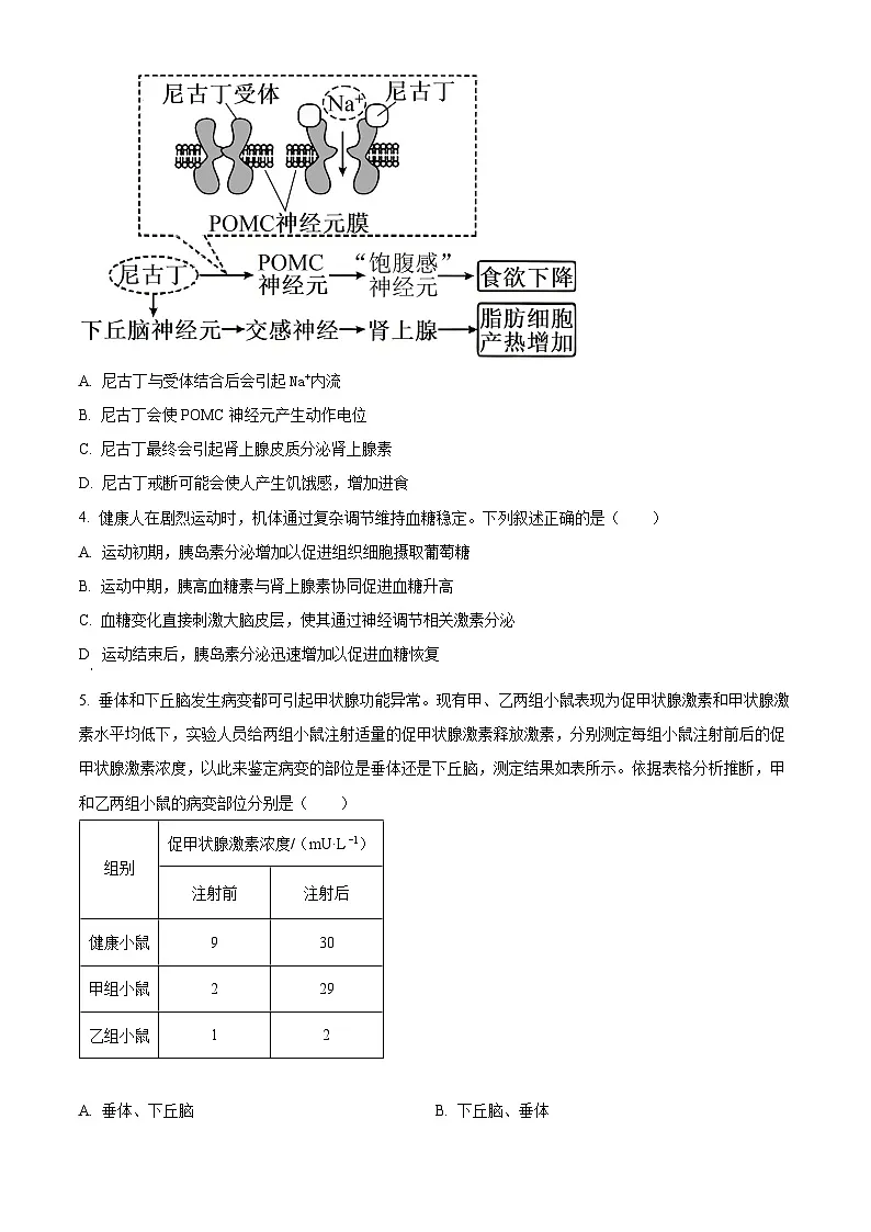 山西省多校2025-2026学年高二上学期1月月考生物（试卷+解析）第2页