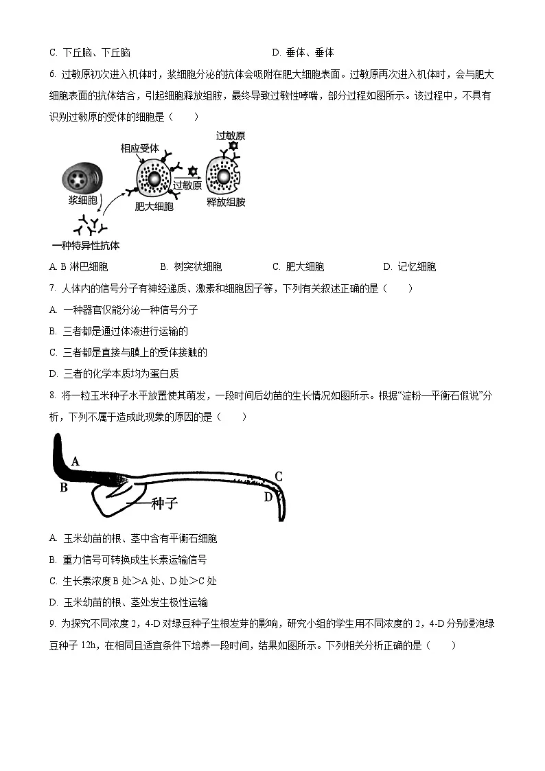 山西省多校2025-2026学年高二上学期1月月考生物（试卷+解析）第3页