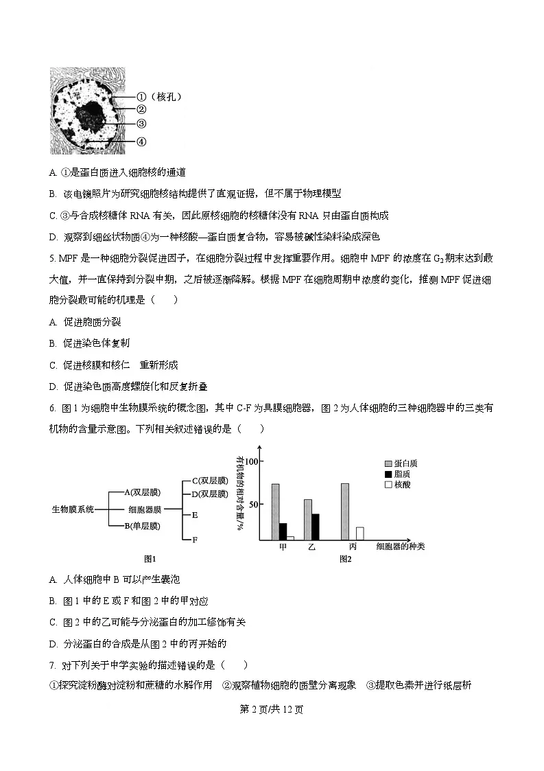 浙江省宁波市镇海中学2025—2026学年高一上学期期末考试生物试题 Word版无答案第2页