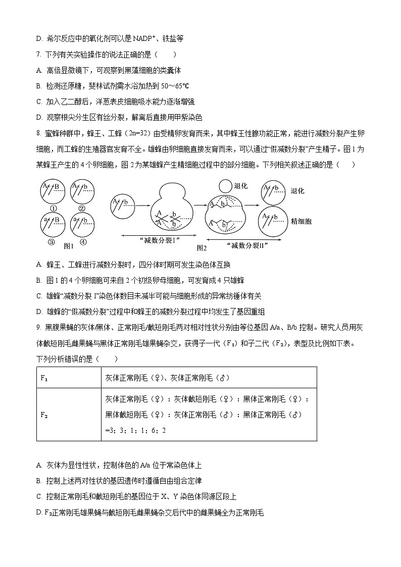 云南大理州鹤庆县2025-2026学年高三年级上学期期末考试生物学试卷（试卷+解析）第3页