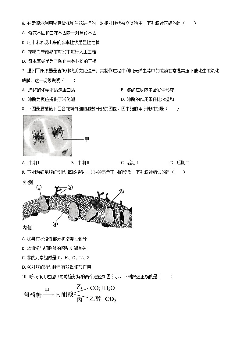 2025学年第一学期高一期末质量评价题库生物(A类)  Word版无答案第2页
