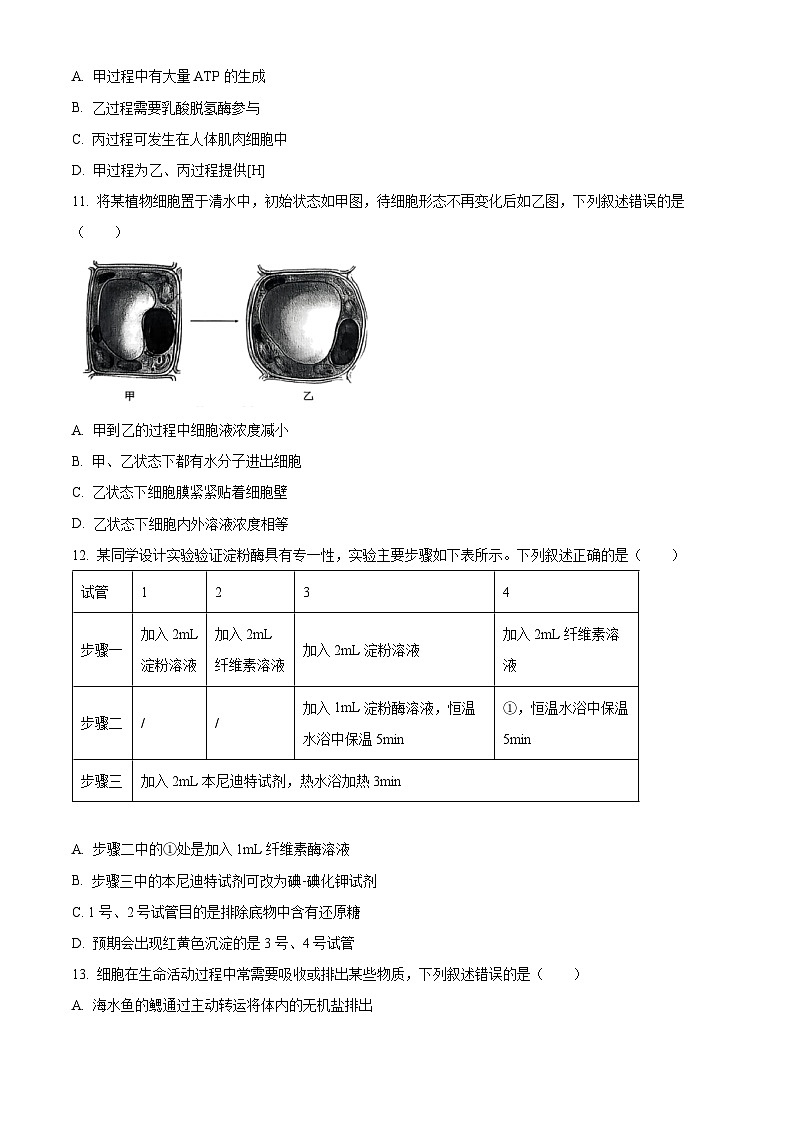 2025学年第一学期高一期末质量评价题库生物(A类) Word版无答案第3页