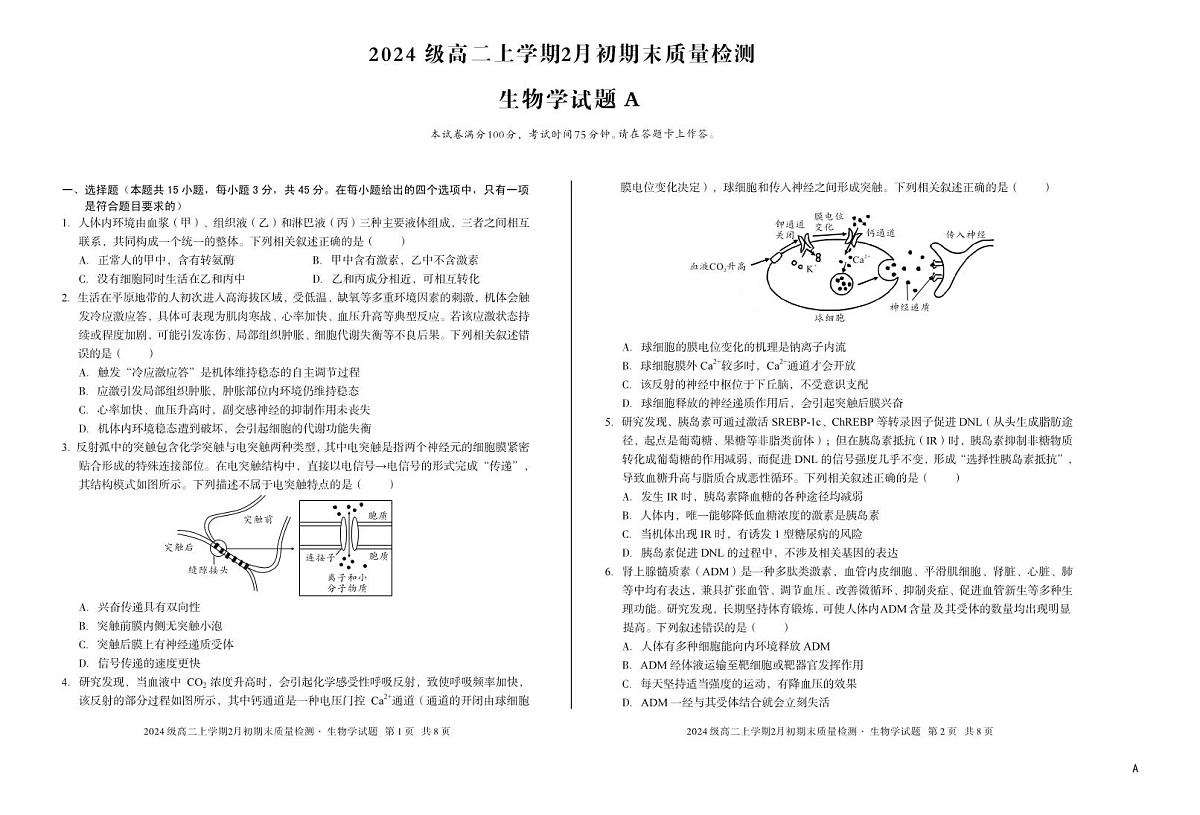 2024级高二上学期2月初期末质量检测 生物A第1页