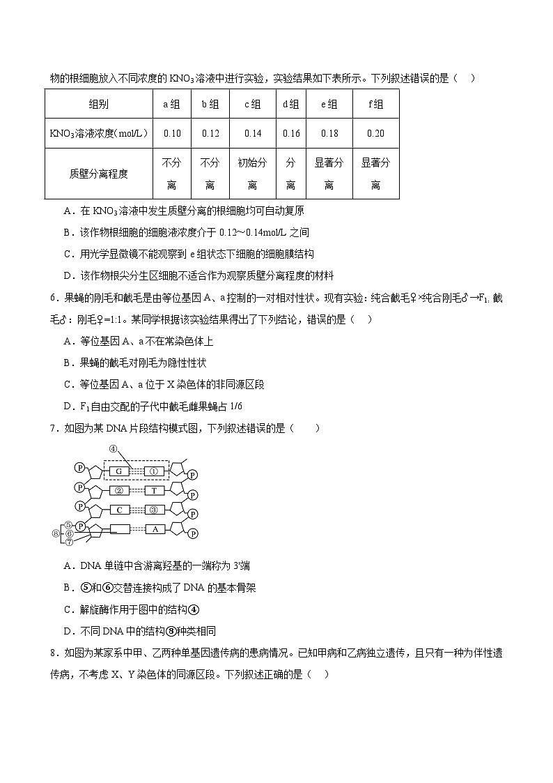 甘肃省白银市普通高中改革与发展共同体2026届高三上学期1月期末联考生物试题（Word版附答案）第2页