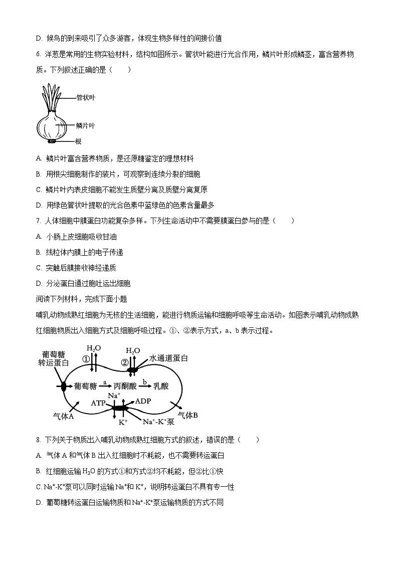浙江省衢州市2025-2026学年高二上学期2月期末生物试题  Word版无答案第2页