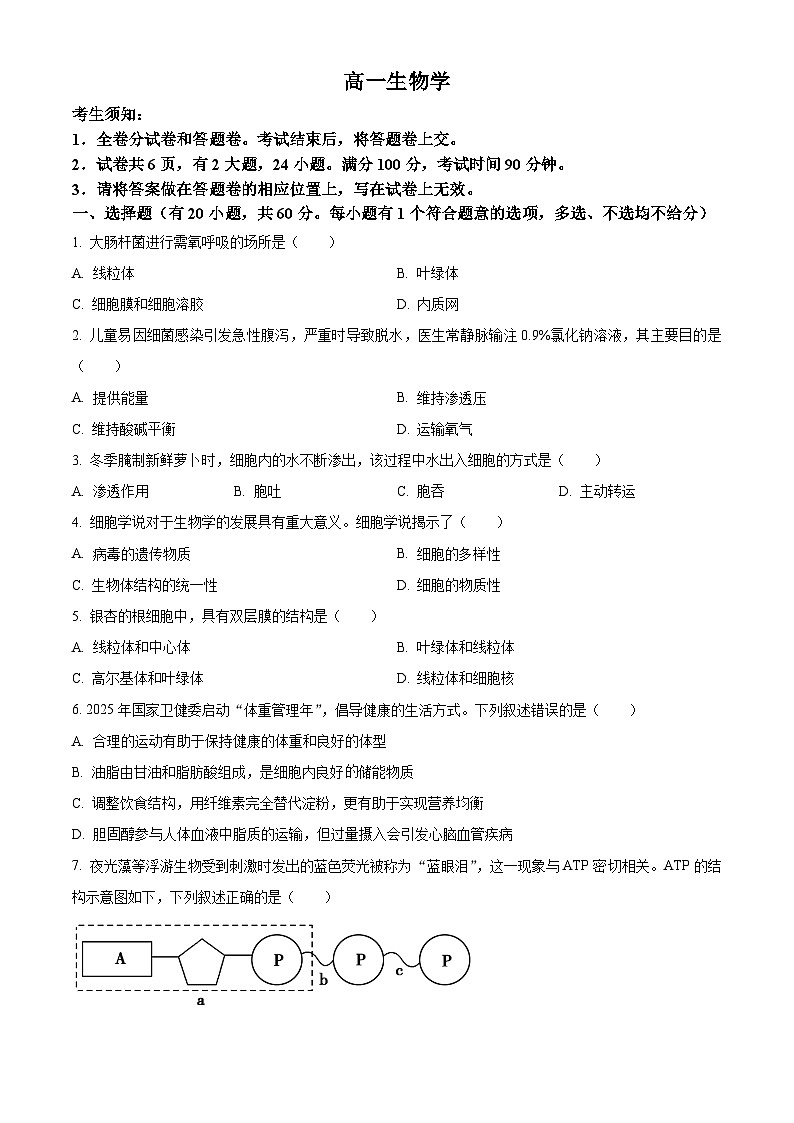 浙江衢州市2025-2026学年高一上学期2月期末生物试题  Word版无答案第1页