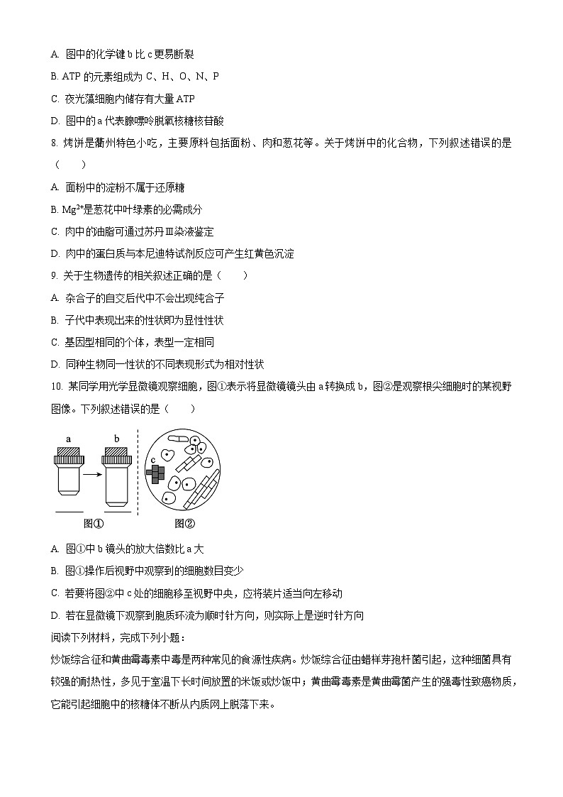 浙江衢州市2025-2026学年高一上学期2月期末生物试题  Word版无答案第2页