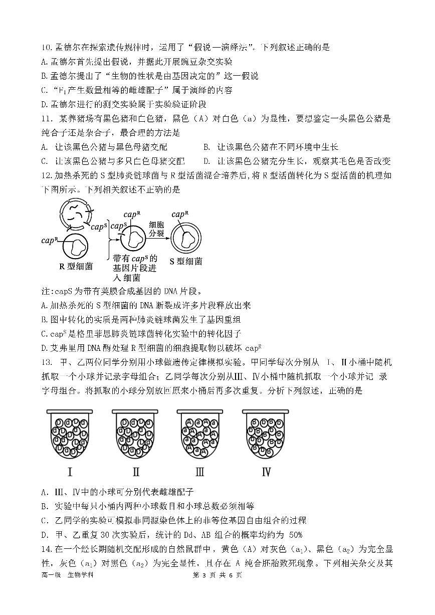 广东省肇庆市鼎湖中学高一下学期期中质量检测生物试题第3页