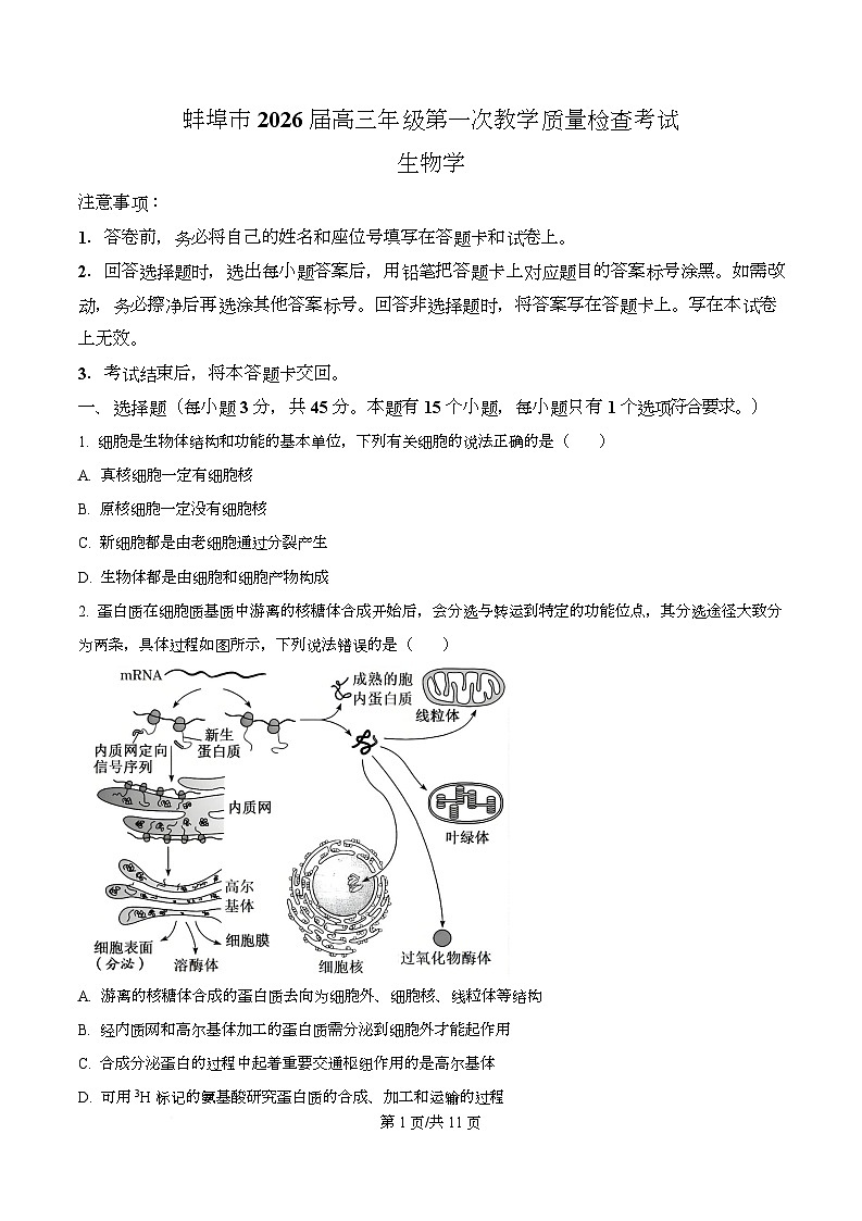 安徽蚌埠市2026届高三年级第第一次教学质量检查考试生物试题  Word版无答案第1页
