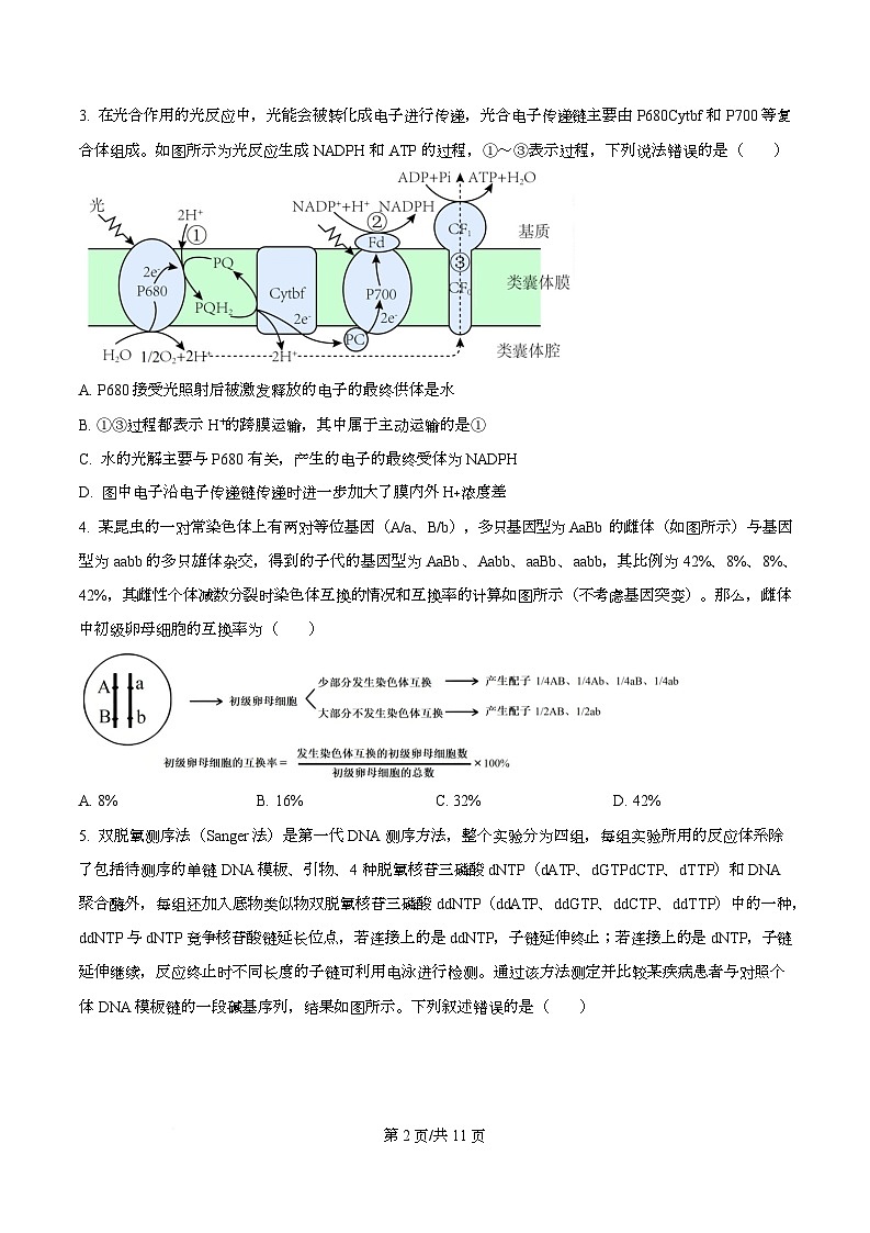 安徽蚌埠市2026届高三年级第第一次教学质量检查考试生物试题  Word版无答案第2页