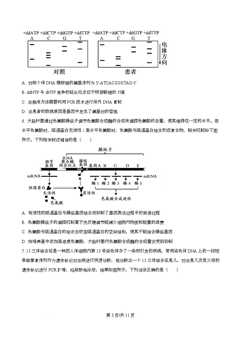 安徽蚌埠市2026届高三年级第第一次教学质量检查考试生物试题  Word版无答案第3页