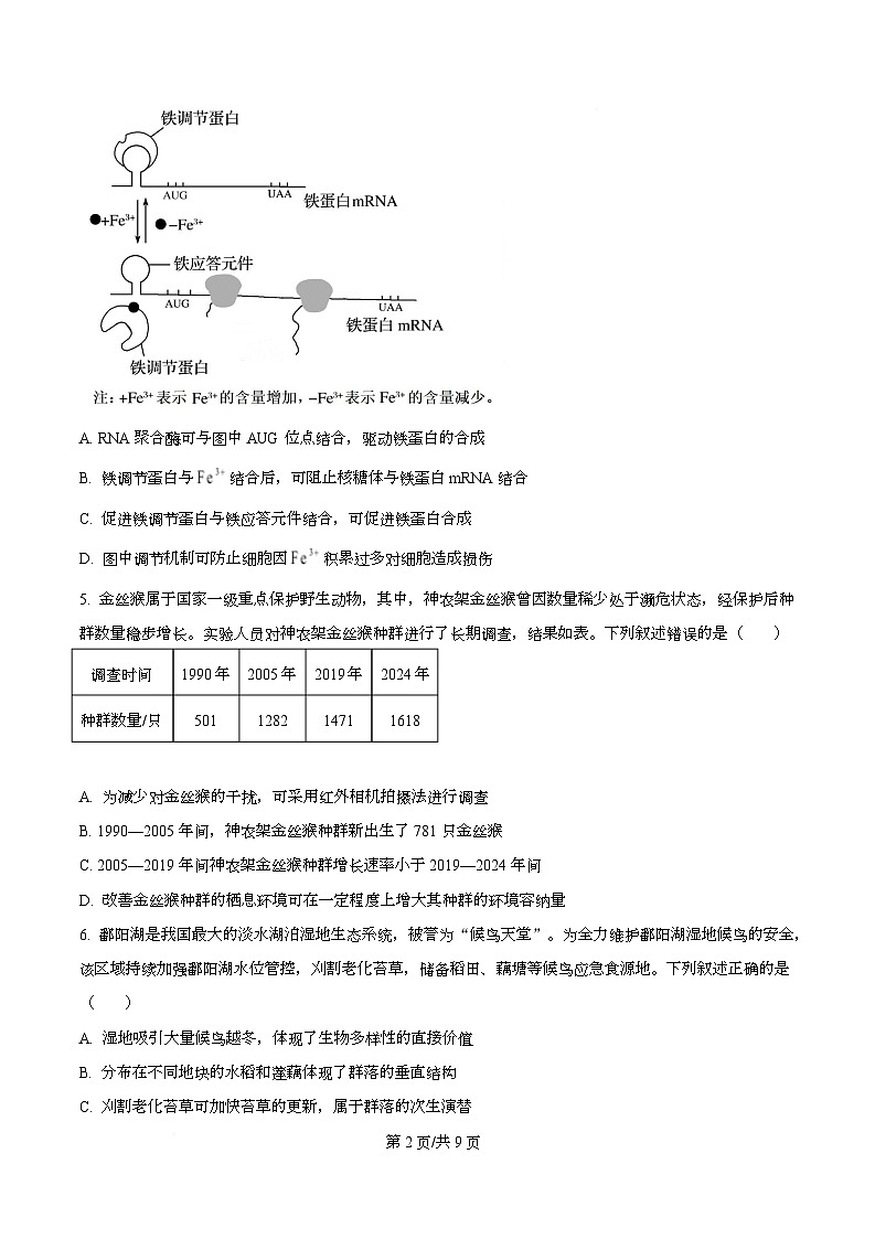 安徽省部分学校联考2025-2026学年高三上学期1月月考生物试题  Word版无答案第2页