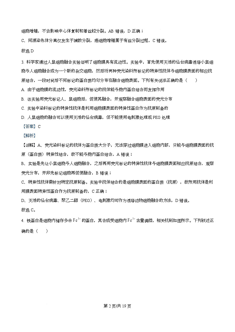 安徽省部分学校联考2025-2026学年高三上学期1月月考生物试题  Word版含解析第2页