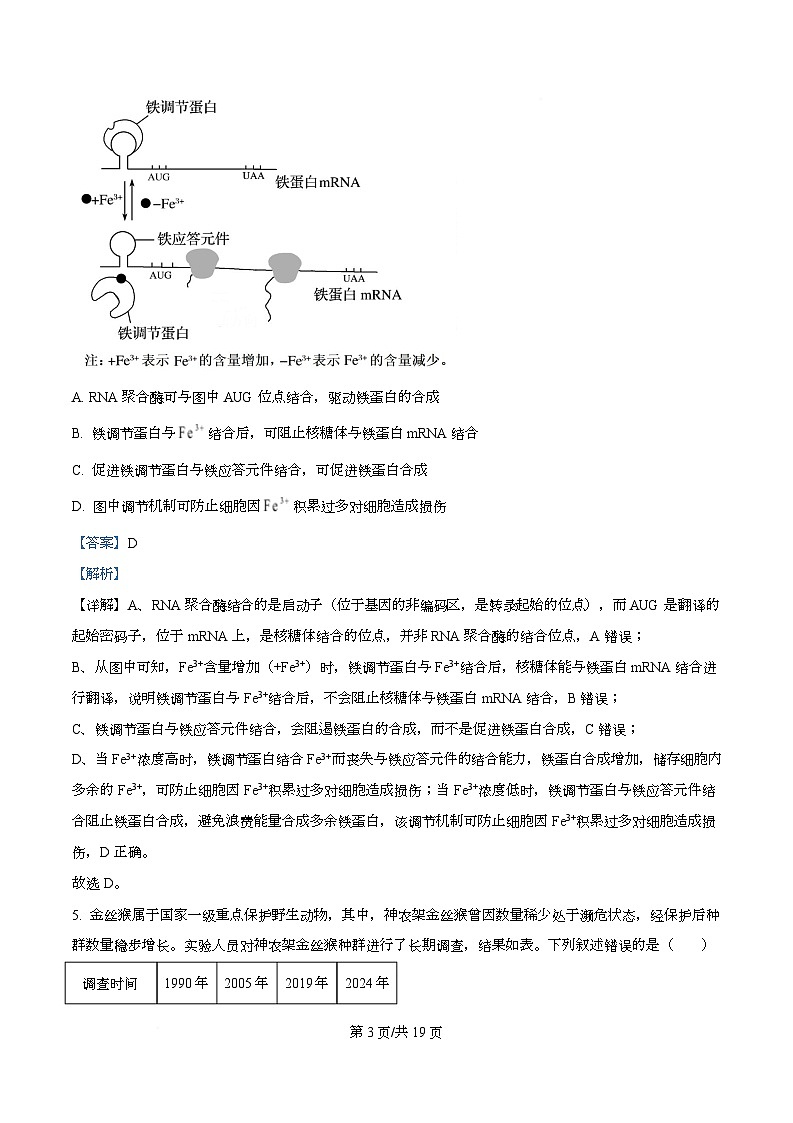 安徽省部分学校联考2025-2026学年高三上学期1月月考生物试题  Word版含解析第3页