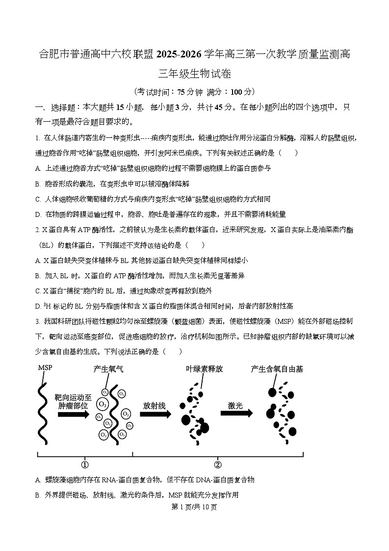 合肥市普通高中六校联盟2025-2026学年高三上学期第一次教学质量监测生物试卷  Word版无答案第1页