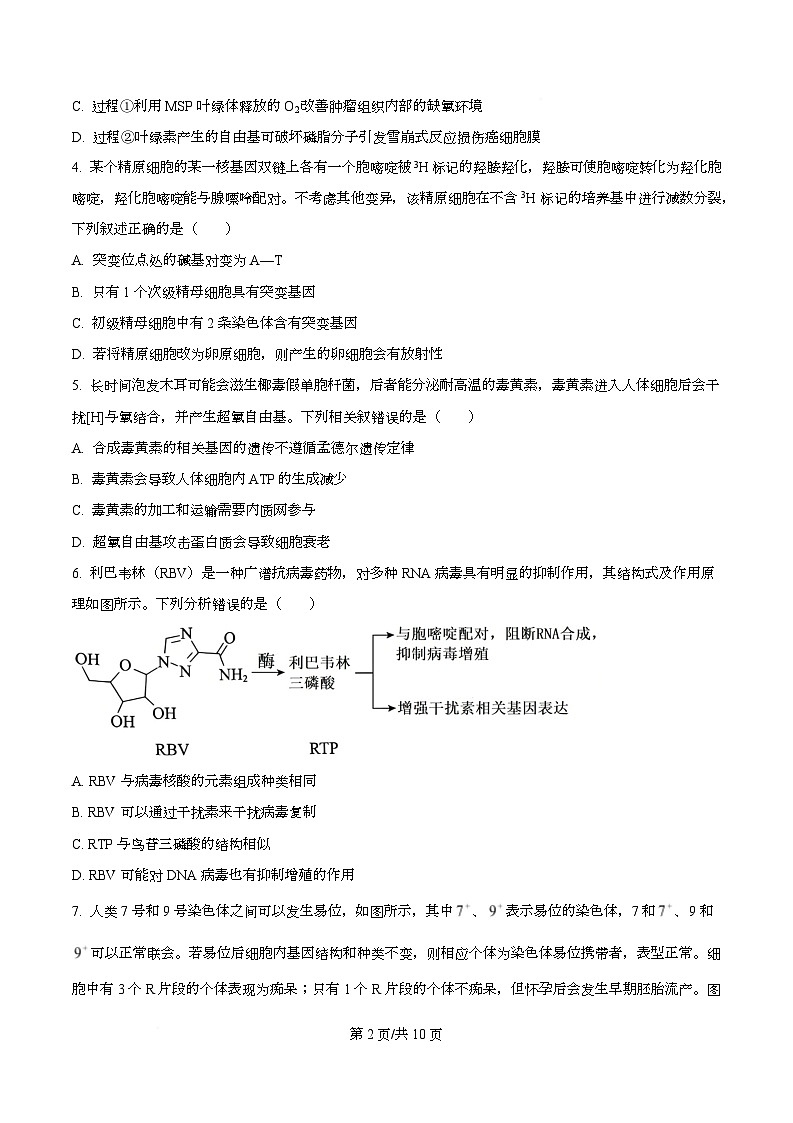 合肥市普通高中六校联盟2025-2026学年高三上学期第一次教学质量监测生物试卷  Word版无答案第2页