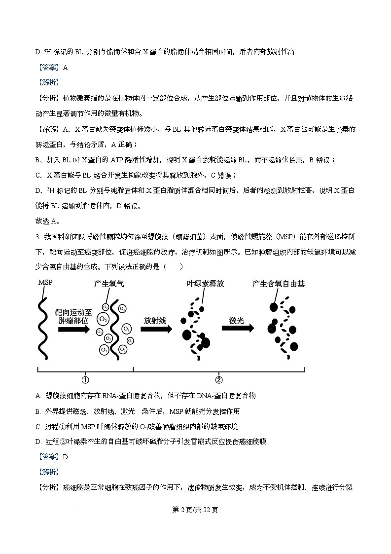 合肥市普通高中六校联盟2025-2026学年高三上学期第一次教学质量监测生物试卷  Word版含解析第2页