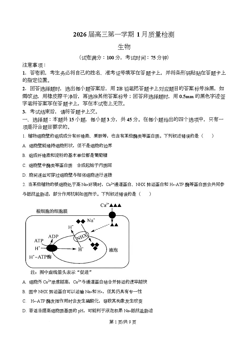安徽省华师联盟2025-2026学年高三上学期1月质量检测生物试题 Word版无答案第1页