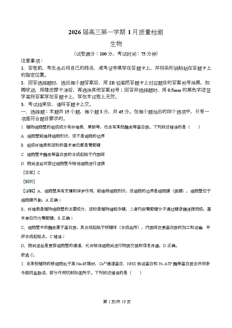 安徽省华师联盟2025-2026学年高三上学期1月质量检测生物试题 Word版含解析第1页